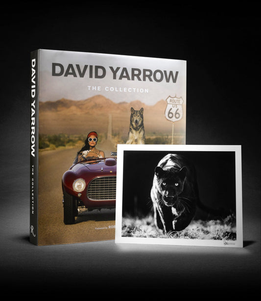 David Yarrow - The Collection (Rizzoli)