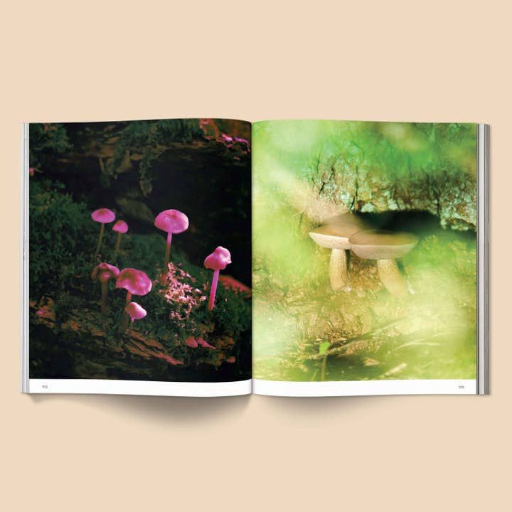 Spores - Magical Mushroom Photography